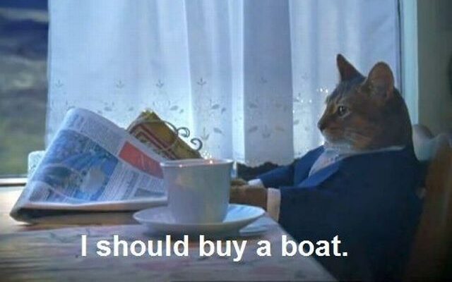 A cat wondering if it should buy a boat.